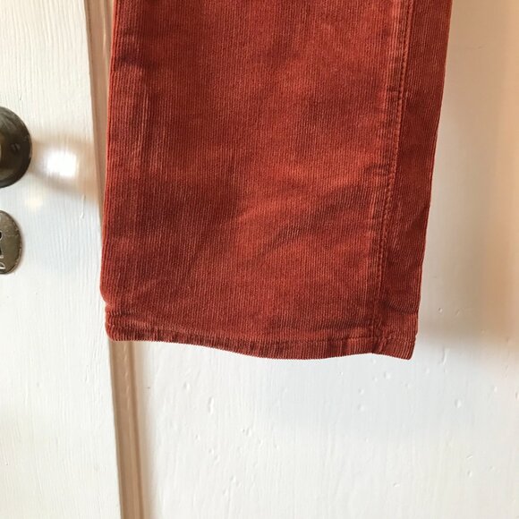 Anthropologie | AG Stevie Corduroy Pants in Burnt Orange - Picture 5 of 13